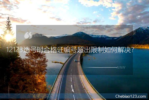 12123ѡʱϸ֤ųν