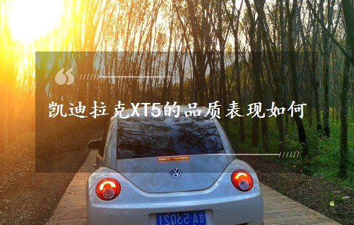 XT5Ʒʱ