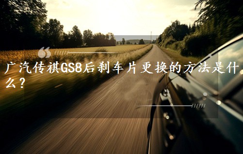 GS8ɲƬķʲô