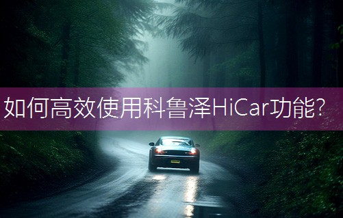 θЧʹÿ³HiCarܣ