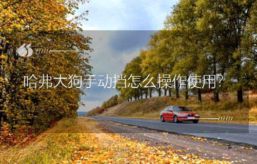 哈弗大狗手动挡怎么操作使用？