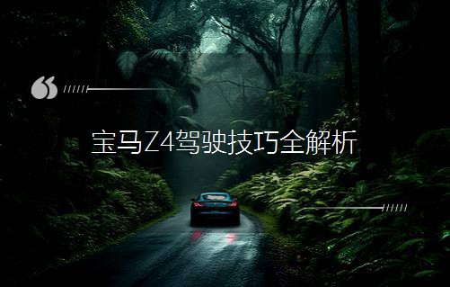 Z4ʻȫ