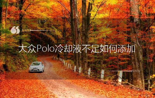 PoloȴҺ