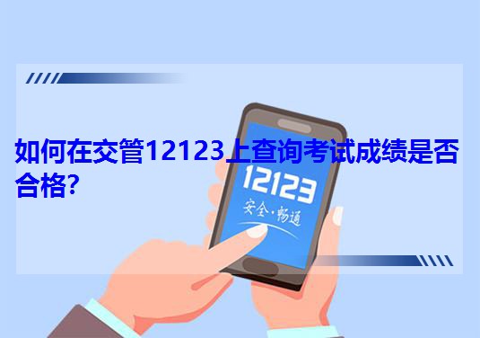ڽ12123ϲѯԳɼǷϸ
