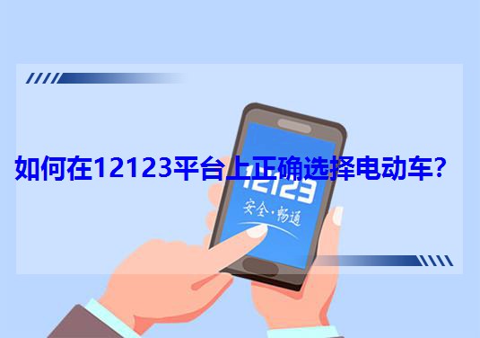 12123ƽ̨ȷѡ綯