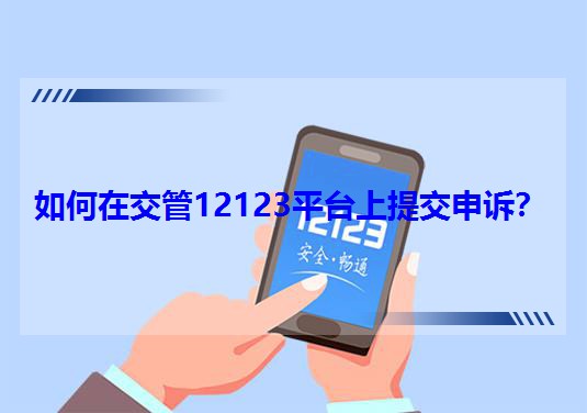 ڽ12123ƽ̨ύߣ