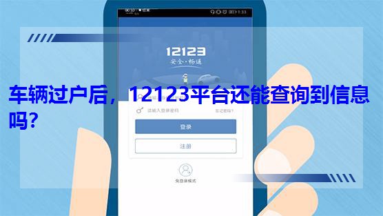 12123ƽ̨ܲѯϢ