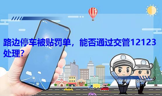 路边停车被贴罚单,能否通过交管12123处理?