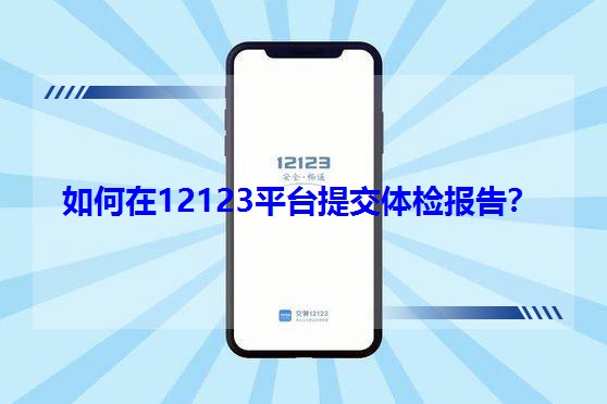 12123ƽ̨ύ챨棿