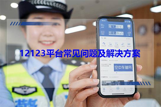 12123ƽ̨�������⼰�������